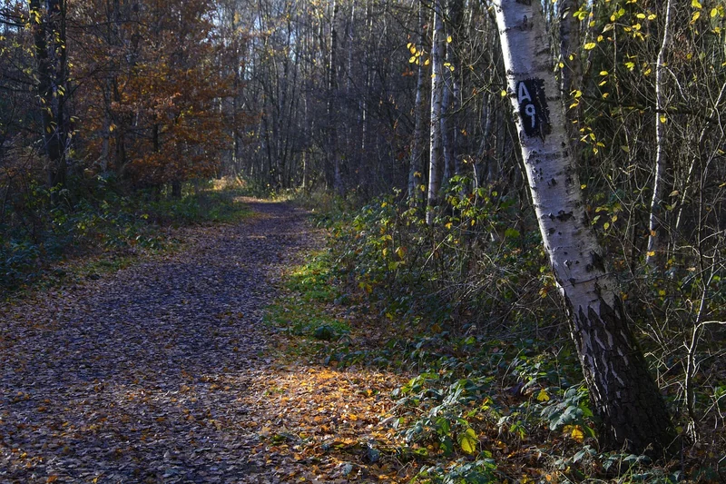 Pourquoi l’humidité remonte-t-elle dans les murs et comment la traiter ?