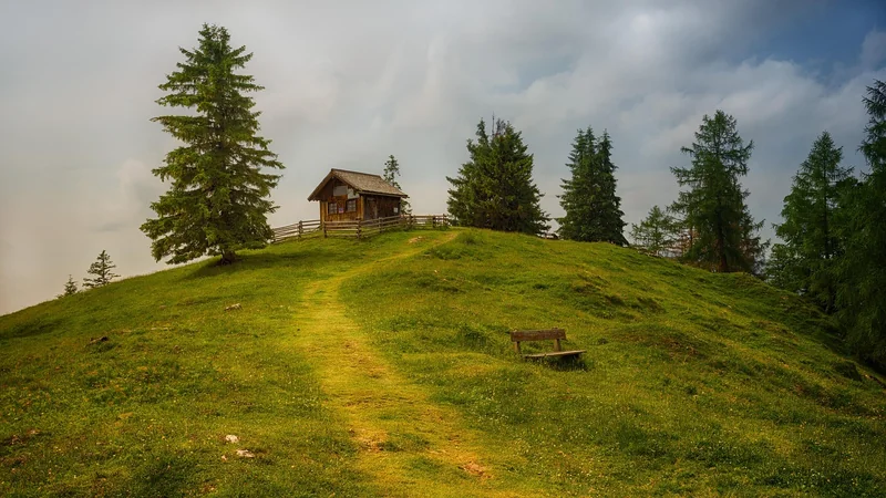 Le guide pas à pas pour une cabane en carton solide