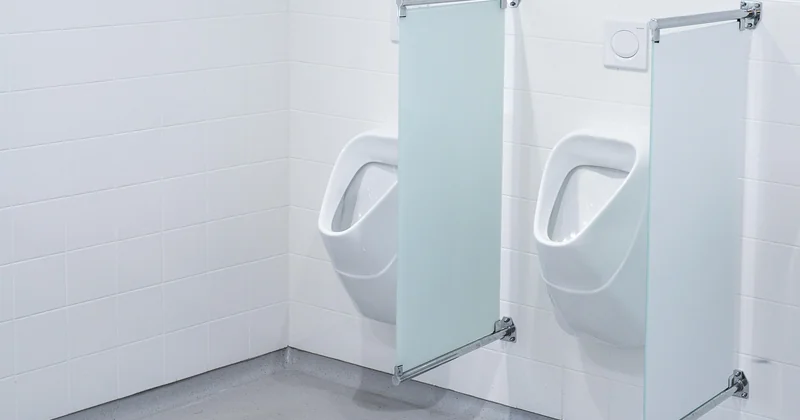 Pourquoi ces vers noirs sortent des toilettes et pas d'ailleurs