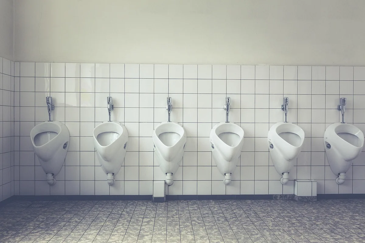 Pourquoi apparaissent-ils dans vos toilettes ?