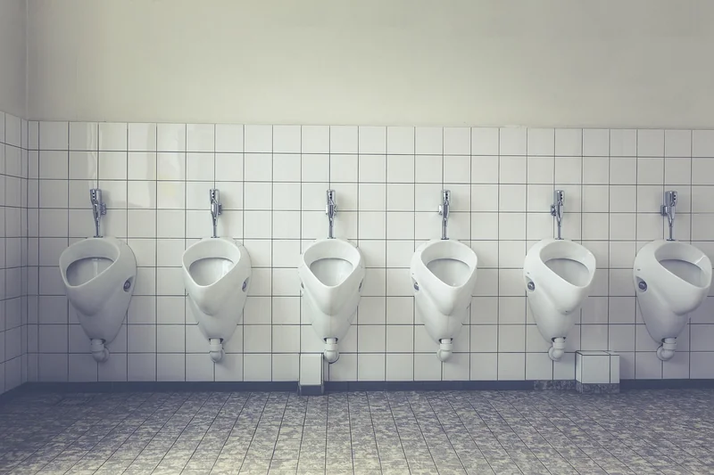 Pourquoi apparaissent-ils dans vos toilettes ?