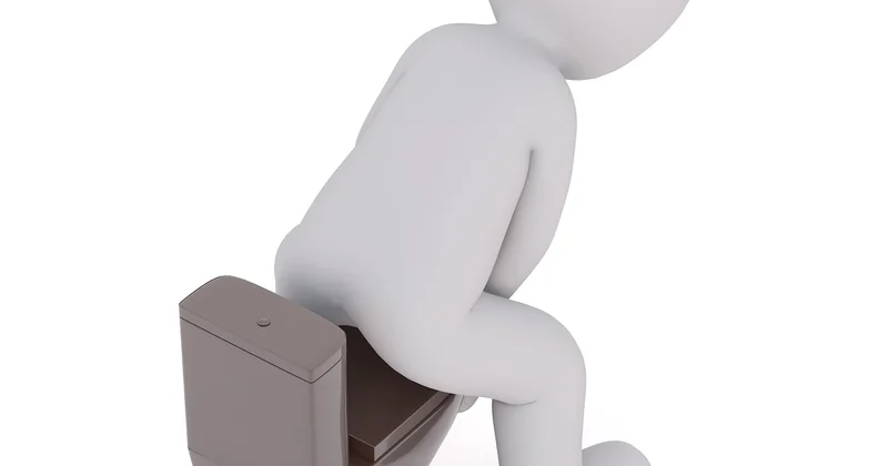 D'abord, identifions le coupable : qui sont ces vers ?