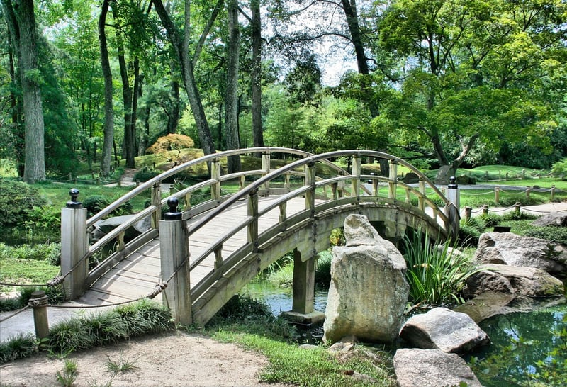 Jardinez malin en 2026 : 5 techniques innovantes pour un jardin écolo et productif