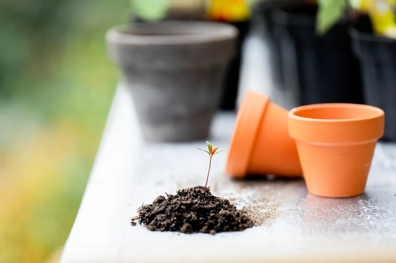 Outils de jardinage : que choisir pour ne pas perdre son temps ?
