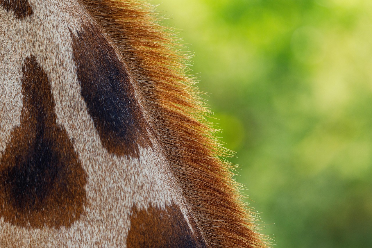 g1b320ad8e1cddd2a148f7ec18cc34f625f9250509112bb70904dea1bdcee13686b8f3b0735d692a85105b5ad5758f773ad78b58e49556f9bf0582fbaa02e6e41 1280